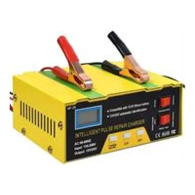 Solarix Full Automatic Intelligent Battery Charger